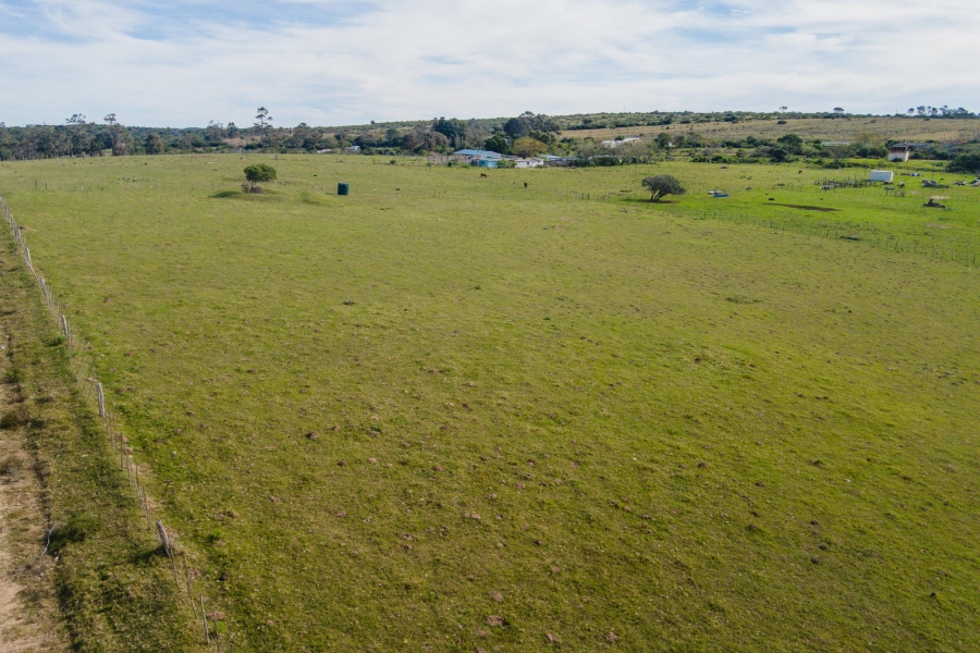 0 Bedroom Property for Sale in Alexandria Eastern Cape